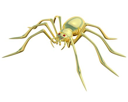  Gold spider on the white background