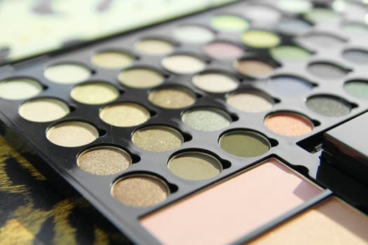 Make up palette ,Color of beautiful