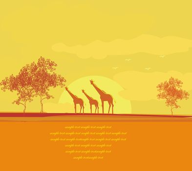 grunge background with African fauna and flora