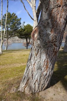 Celilo park in the Columbia River Gorge, Oregon state.