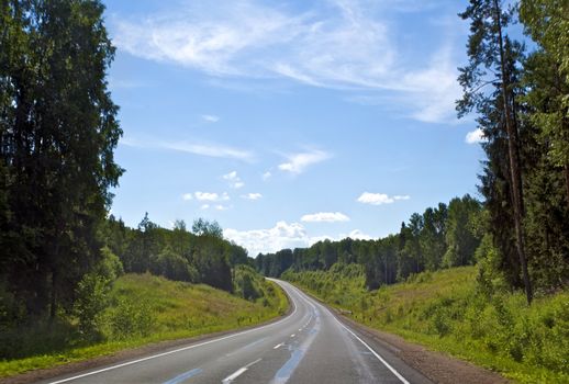 fast highway in forest under clean blue sky