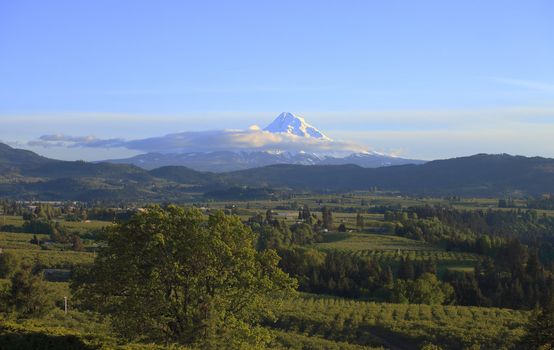 Mt. Hood and Hood River valley at sunset Oregon.
