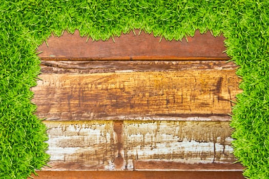 green grass on wood background