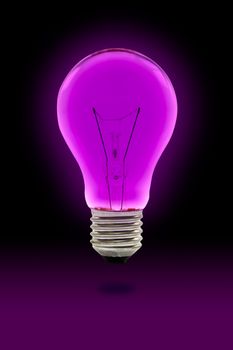 purple light bulb with clipping path
