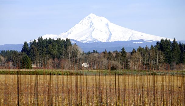 Mt. Hood in winter and a farmland in rural Oregon.