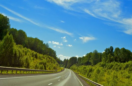 fast highway in forest under clean blue sky