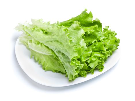 fresh green lettuce leaves on white dish isolated