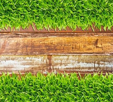 green grass on wood background