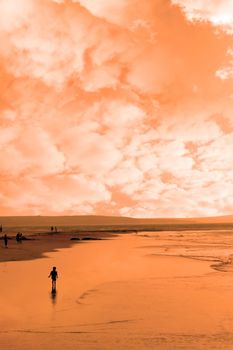 a lone child in silhouette against a golden sunset astray from its family