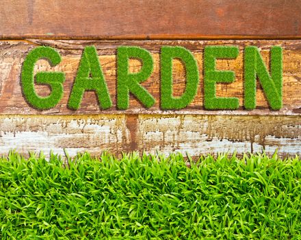 green grass garden word on wood background