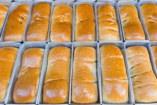 row of bread in metal box