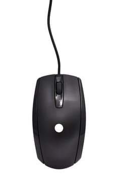 Black computer mouse on a white background