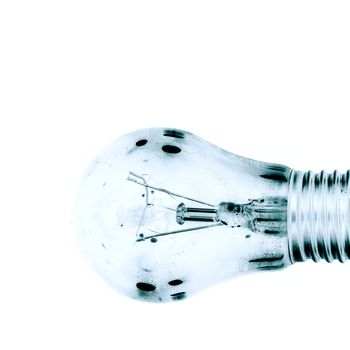 bulb macro close up