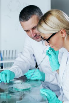 Chemistry Scientist conducting experiments in laboratory