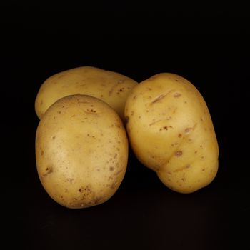 potato isolated on black
