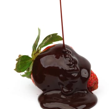 strawberry in chocolate  isolated on white