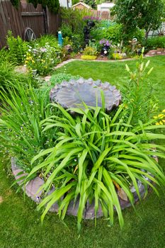 A gorgeous backyard garden, featuring a center bed of perennials around a bird bath.