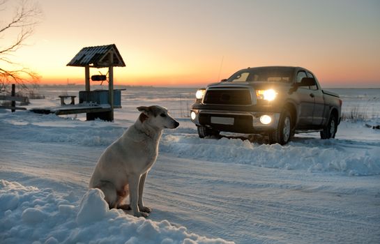 The dog waits at road. The dog waits at snow-covered road near to a well and truck.