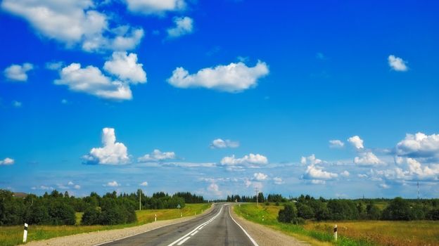 fast highway in forest under clean blue sky