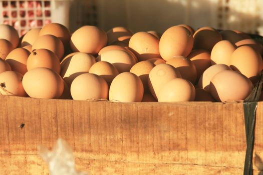 Eggs found in an old market.