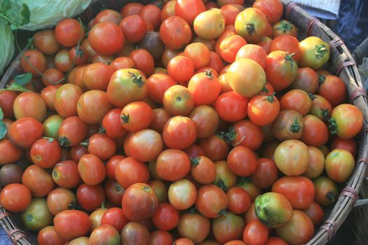 Tomato found in an old market.