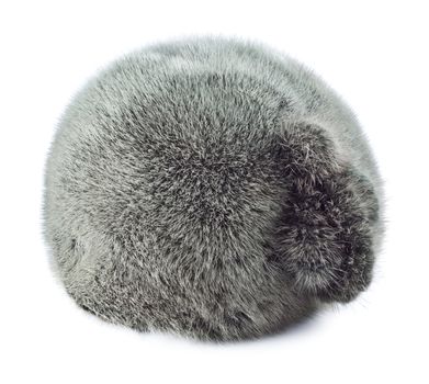 fur winter cap isolated on white background