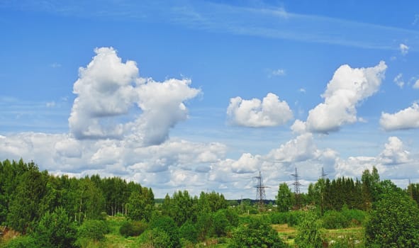 rural summer landscape with forest and blue sky