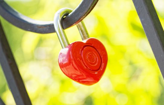 locks on fence a tradition of wedding