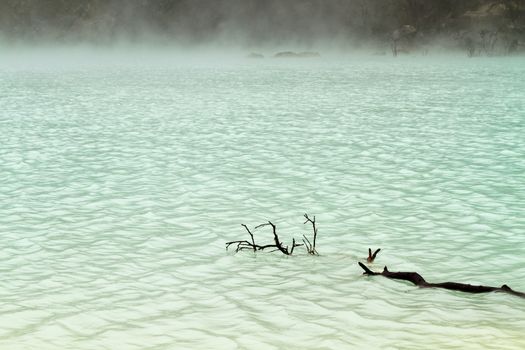 Drift wood from dead tree in the foggy lake of Kawah Putih volcanic crater lake of Bandung, Indonesia