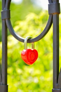 locks on fence a tradition of wedding