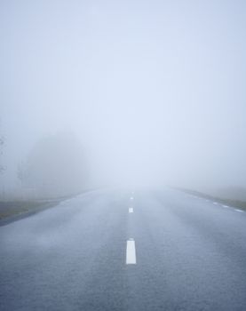 Road with fog in the morning