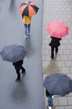 Group of People with umbrellas