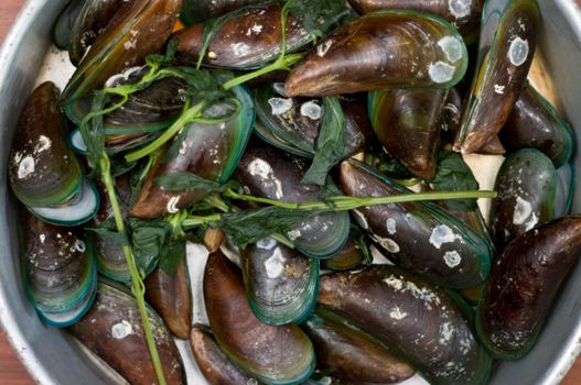 Boiled Asian green mussel on wooden table