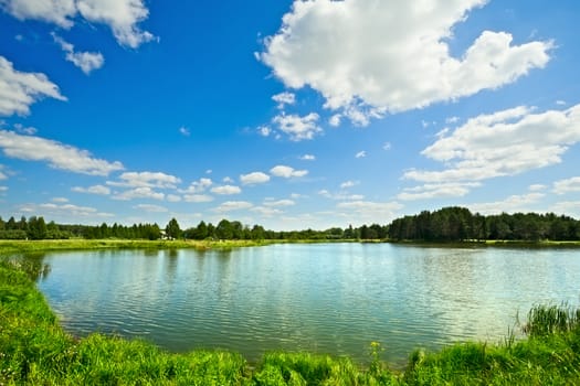 summer landscape with lake at sunny day