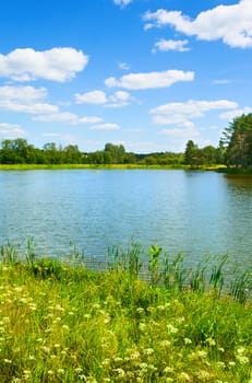 summer landscape with lake and yellow flowers