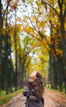 beautiful girl with long hair in autumn forest