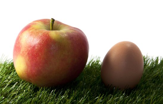 apple and egg on green grass with white background