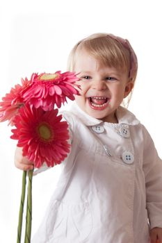 Smiling girl with gerbers over white, focus on girl