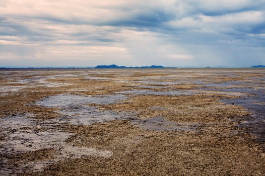 Koh Libong shelf at ebb, Andaman Sea, Thailand