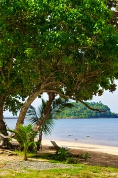 tropical resort with seashore and lounge under big tree