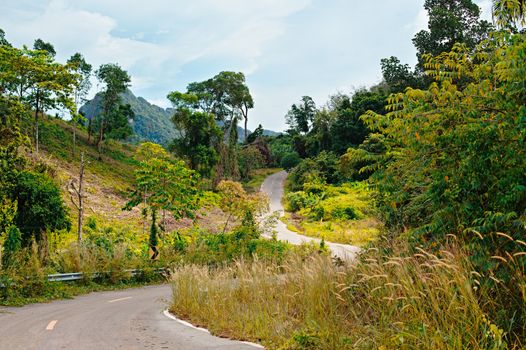 asphalt highway in jungle, Koh Lanta Noi, Thailand