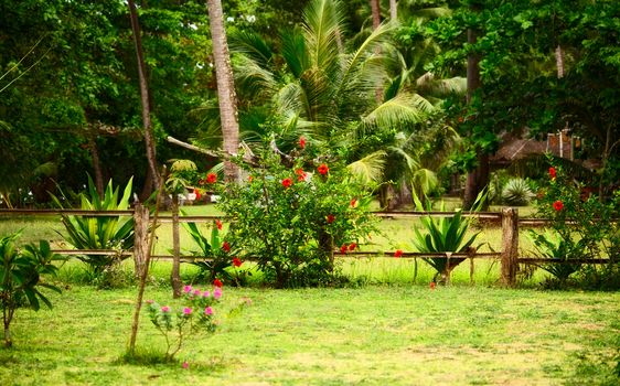 traditional thai nature, green grass and flowers