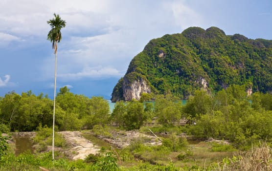 Koh Lanta Noi green landscape, Krabi, Thailand