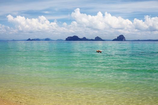 Andaman Sea resort, green water and blue sky