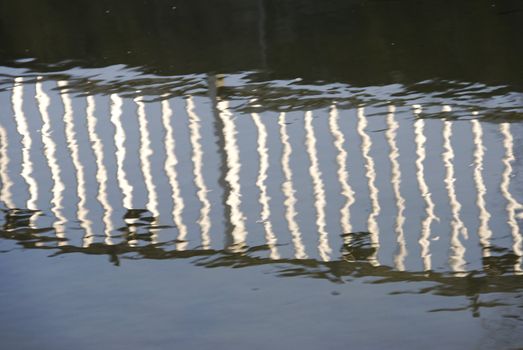 silhouette in the river