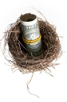 An image of roll of banknotes in nest.