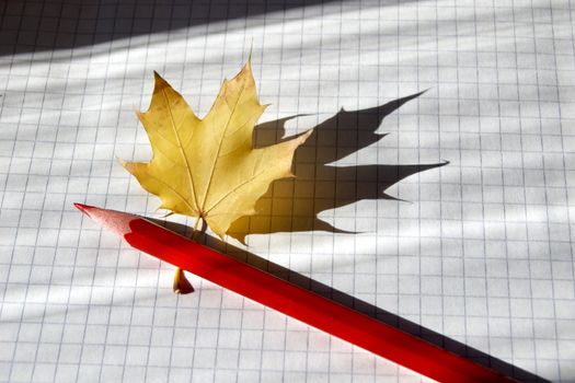 An image of maple leaf and red pencil