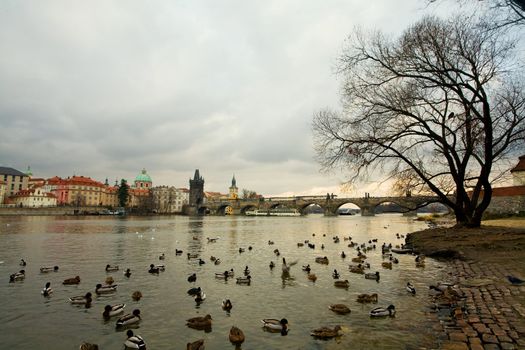 View of Charles bridge and river Vltava