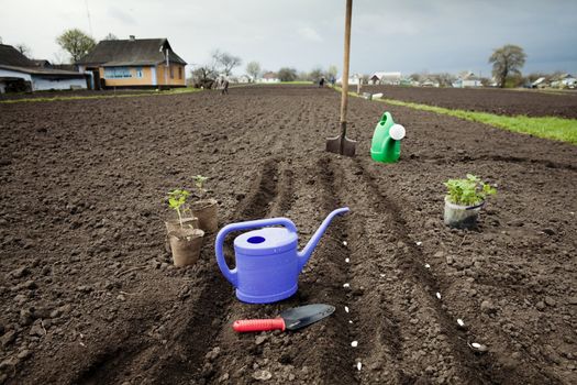 An image of agriculture equipment in the field