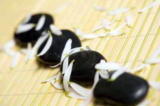 An image of black stones for spa massage